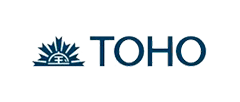 Toho Beads